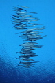   Combat formation. This was taken Kerama Okinawa. formation Okinawa  